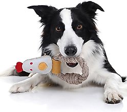 DOOG Country Tails Chicken Rope Ring Dog Chew Toy, White slide 2 of 4