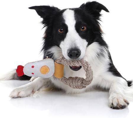 Show full view: DOOG Country Tails Chicken Rope Ring Dog Chew Toy, White slide 4 of 4