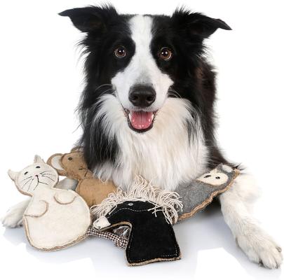 Show full view: DOOG Country Tails Pony Dog Chew Toy, Black slide 4 of 5