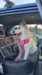 DOOG Dog Car Seat, Black, Large slide 2 of 4