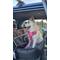 Show in main carousel: DOOG Dog Car Seat, Black, Large slide 4 of 7