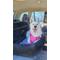 Show in main carousel: DOOG Dog Car Seat, Black, Large slide 3 of 7