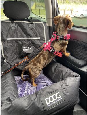 Show full view: DOOG Dog Car Seat, Black, Medium slide 3 of 7