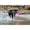 Show in main carousel: DOOG Fetch-ables Fetch-A-Disc Dog Toy, Pink slide 4 of 5
