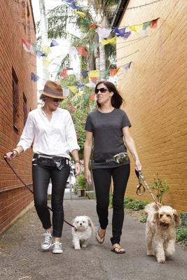 Show full view: DOOG Mini Running Dog Belt, Black slide 7 of 7