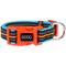 Show in main carousel: DOOG Neoprene Beethoven Neon Dog Collar, Orange/Blue, Large: 16 to 24-in neck, 1.375-in wide slide 1 of 8