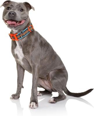 Show full view: DOOG Neoprene Beethoven Neon Dog Collar, Orange/Blue, Medium: 12 to 18-in neck, 1-in wide slide 3 of 7