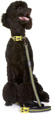 Show full view: DOOG Neoprene Bolt Neon Dog Collar, Yellow/Black, X-Small: 4 to 10-in neck, 1/2-in wide slide 4 of 8