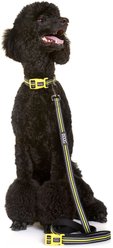DOOG Neoprene Bolt Neon Dog Leash, Black/Yellow, Small: 47-in long, 1/2-in wide slide 2 of 4