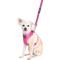 Show in main carousel: DOOG Neoprene Lady Neon Dog Leash, Pink, Large: 51-in long, 1-in wide slide 2 of 3