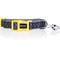 Show in main carousel: DOOG Neoprene Odie Dog Collar, Black/Purple/Yellow, Small: 9 to 13-in neck, 3/4-in wide slide 1 of 5