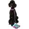 Show in main carousel: DOOG Neoprene Rin Tin Tin Dog Leash, Teal/Pink, Large: 51-in long, 1-in wide slide 3 of 4