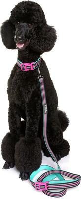 Show full view: DOOG Neoprene Rin Tin Tin Dog Leash, Teal/Pink, Small: 47-in long, 1/2-in wide slide 4 of 5
