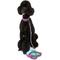 Show in main carousel: DOOG Neoprene Rin Tin Tin Neon Dog Collar, Pink/Black/Teal, Large: 16 to 24-in neck, 1.375-in wide slide 3 of 6