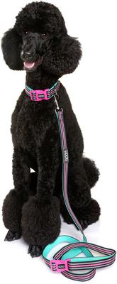 Show full view: DOOG Neoprene Rin Tin Tin Neon Dog Collar, Pink/Black/Teal, Large: 16 to 24-in neck, 1.375-in wide slide 3 of 6