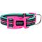 Show in main carousel: DOOG Neoprene Rin Tin Tin Neon Dog Collar, Pink/Black/Teal, Medium: 12 to 18-in neck, 1-in wide slide 1 of 6