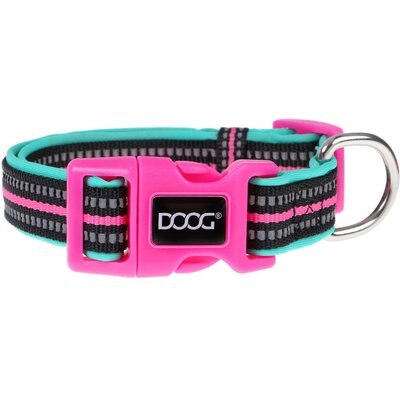 DOOG DOOG Neoprene Rin Tin Tin Neon Dog Collar, Pink/Black/Teal, Small: 9 to 13-in neck, 3/4-in wide