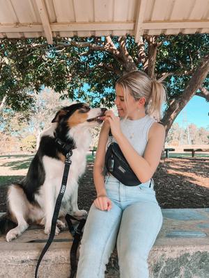 Show full view: DOOG Neosport Hip Dog Belt, Black slide 6 of 6