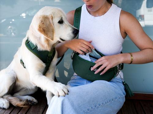 Show full view: DOOG Neosport Hip Dog Belt, Green slide 5 of 5