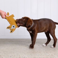 DOOG Outback Tails Daren the Dingo Felt Dog Chew Toy, Brown