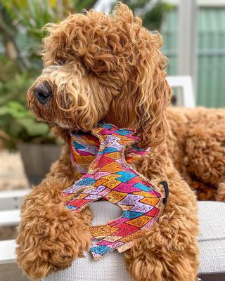 Show full view: DOOG Outback Tails Desert Ben Dog Chew Toy, Multi-color slide 2 of 3