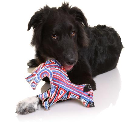 Show full view: DOOG Outback Tails Desert Junior Dog Chew Toy, Red/Blue/White/Black slide 3 of 5