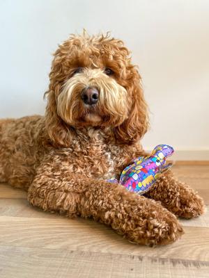 Show full view: DOOG Outback Tails Keturah Zimran Percy Platypus Dog Chew Toy, Multi-color slide 5 of 7