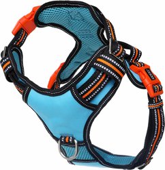 DOOG Reflective Neotech Beethoven Dog Harness, Blue/Orange/Black, Medium: 14.96 to 19.29-in chest