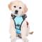 Show in main carousel: DOOG Reflective Neotech Beethoven Dog Harness, Blue/Orange/Black, Small: 11.02 to 14.56-in chest slide 4 of 5