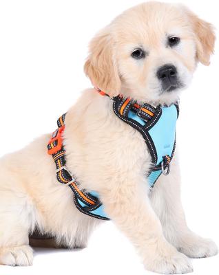 Show full view: DOOG Reflective Neotech Beethoven Dog Harness, Blue/Orange/Black, Small: 11.02 to 14.56-in chest slide 3 of 5