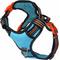 Show in main carousel: DOOG Reflective Neotech Beethoven Dog Harness, Blue/Orange/Black, X-Large: 26.77 to 39.37-in chest slide 1 of 5