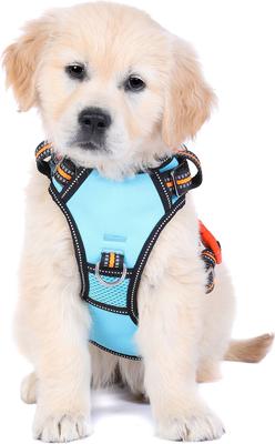 Show full view: DOOG Reflective Neotech Beethoven Dog Harness, Blue/Orange/Black, X-Large: 26.77 to 39.37-in chest slide 4 of 5