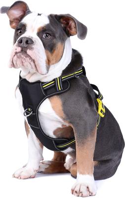 Show full view: DOOG Reflective Neotech Bolt Dog Harness, Black/Yellow, Small: 11.02 to 14.56-in chest slide 3 of 5