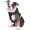 Show in main carousel: DOOG Reflective Neotech Bolt Dog Harness, Black/Yellow, X-Large: 26.77 to 39.37-in chest slide 3 of 5