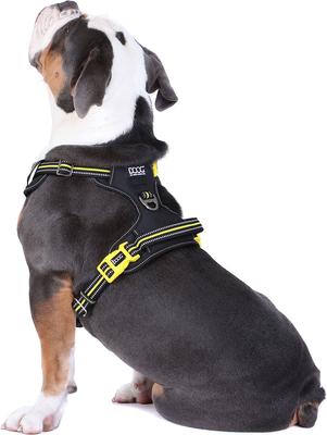 Show full view: DOOG Reflective Neotech Bolt Dog Harness, Black/Yellow, X-Large: 26.77 to 39.37-in chest slide 4 of 5