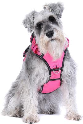 Show full view: DOOG Reflective Neotech Lady Dog Harness, Pink, Medium: 14.96 to 19.29-in chest slide 4 of 5
