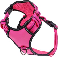 DOOG Reflective Neotech Lady Dog Harness, Pink, X-Large: 26.77 to 39.37-in chest