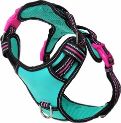 DOOG Reflective Neotech Rin Tin Tin Dog Harness, Blue/Pink/Black, Large: 19.68 to 26.37-in chest