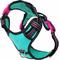 Show in main carousel: DOOG Reflective Neotech Rin Tin Tin Dog Harness, Blue/Pink/Black, X-Large: 26.77 to 39.37-in chest slide 1 of 5