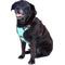 Show in main carousel: DOOG Reflective Neotech Rin Tin Tin Dog Harness, Blue/Pink/Black, X-Large: 26.77 to 39.37-in chest slide 5 of 5