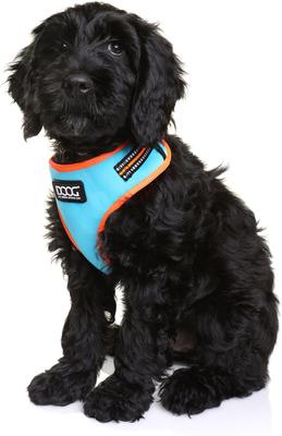 Show full view: DOOG Step In Neoflex Beethoven Neon Dog Harness, Orange/Blue, Large: 19.5 to 27.5-in chest slide 4 of 7