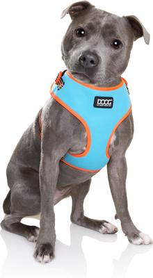 Show full view: DOOG Step In Neoflex Beethoven Neon Dog Harness, Orange/Blue, Medium: 16 to 22-in chest slide 5 of 7