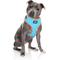 Show in main carousel: DOOG Step In Neoflex Beethoven Neon Dog Harness, Orange/Blue, X-Small: 11 to 13-in chest slide 5 of 7