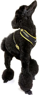 Show full view: DOOG Step In Neoflex Bolt Neon Dog Harness, Black/Yellow, X-Small: 11 to 13-in chest slide 4 of 6