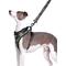 Show in main carousel: DOOG Step In Neoflex Bruiser Dog Harness, Camo, Medium: 16 to 22-in chest slide 3 of 6