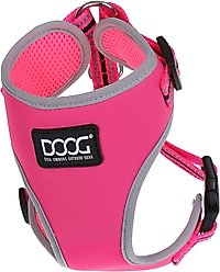 DOOG Step In Neoflex Lady Neon Dog Harness, Neon Pink, X-Large: 22.5 to 31.5-in chest