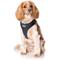 Show in main carousel: DOOG Step In Neoflex Lassie Dog Harness, Black, Small: 12.5 to 17-in chest slide 3 of 6