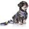 Show in main carousel: DOOG Step In Neoflex Odie Dog Harness, Black/Purple/Yellow, Medium: 16 to 22-in chest slide 5 of 7