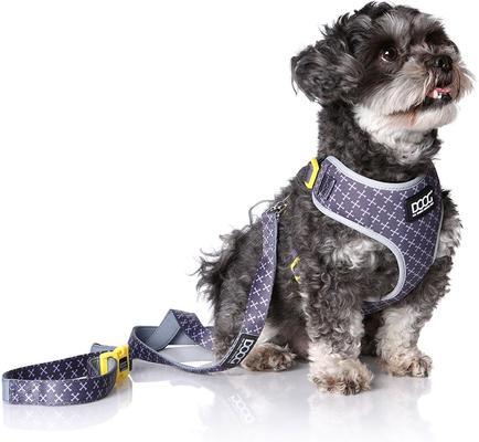 Show full view: DOOG Step In Neoflex Odie Dog Harness, Black/Purple/Yellow, X-Large: 22.5 to 31.5-in chest slide 4 of 6