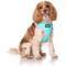Show in main carousel: DOOG Step In Neoflex Rin Tin Tin Neon Dog Harness, Teal/Pink, Medium: 16 to 22-in chest slide 4 of 5